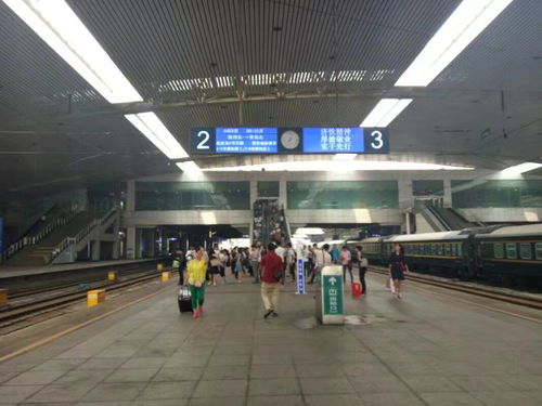 互联网公司崇才科技交通部举行大型出游活动